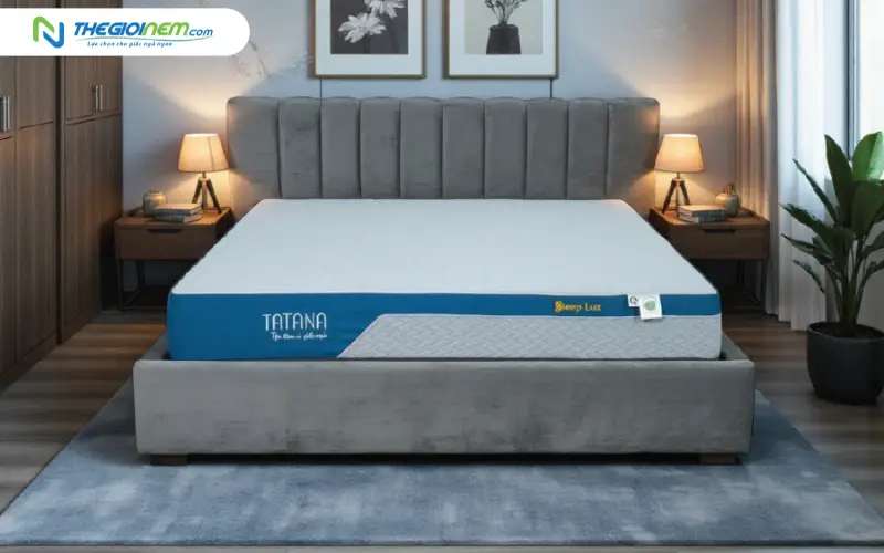 Nệm foam đa tầng cao su Sleep Lux TATANA 